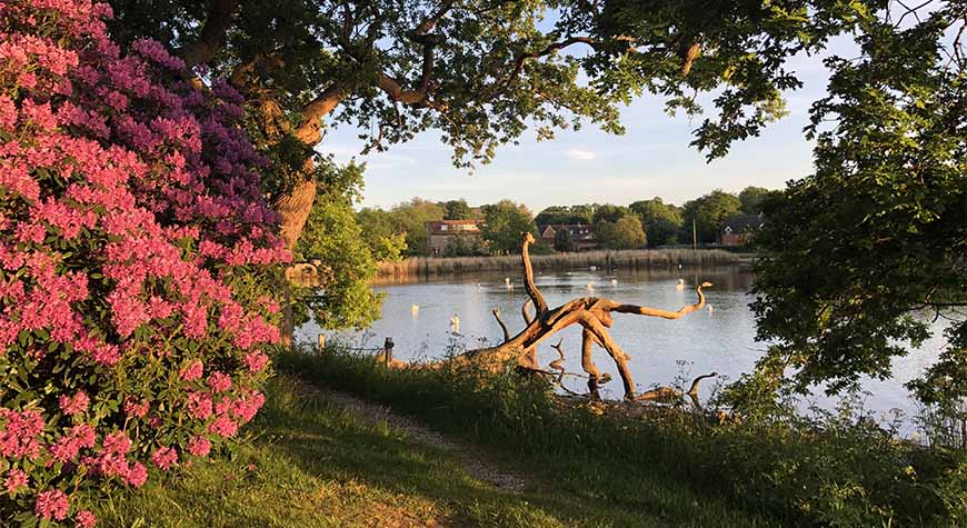 Beaulieu Grounds and Gardens