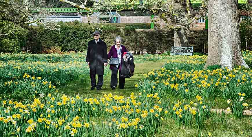 Beaulieu grounds and Gardens