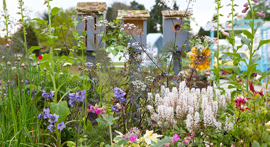 Spring Fair display